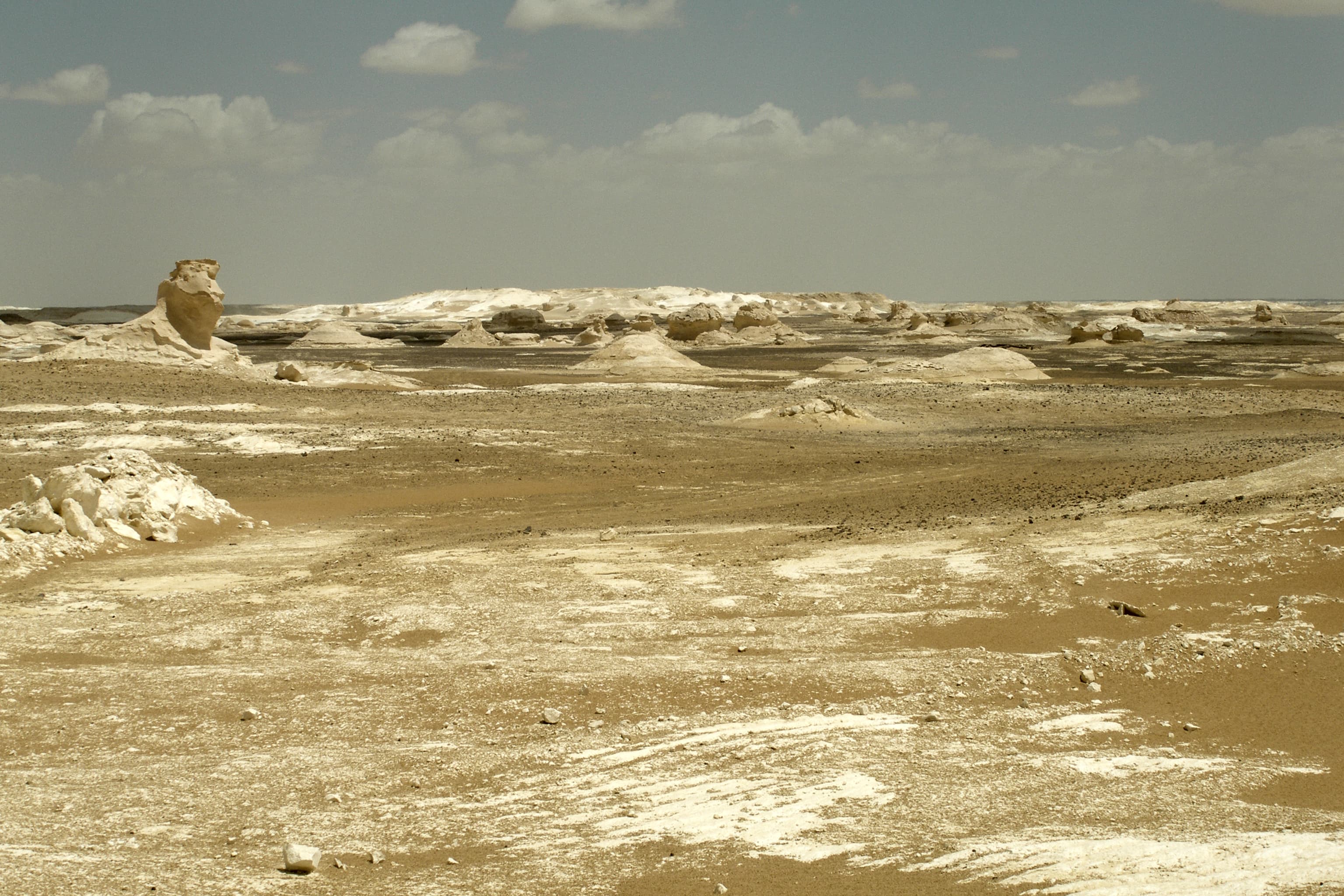 Wind-carved chalk formations of the White Desert at dusk, Farafra depression, Egypt