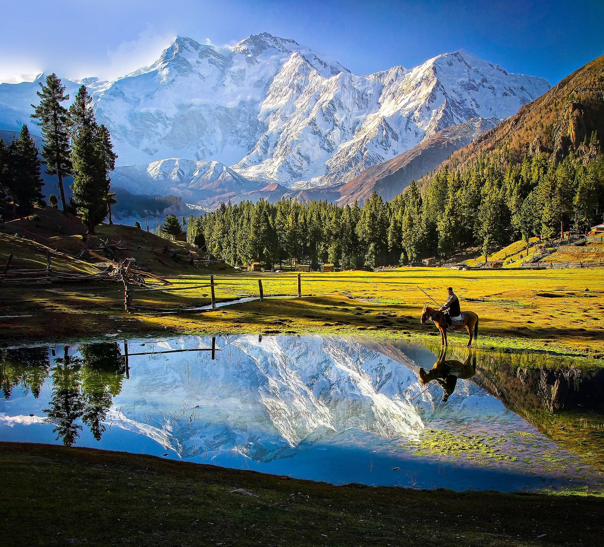 Nanga Parbat reflected at Fairy Meadows
