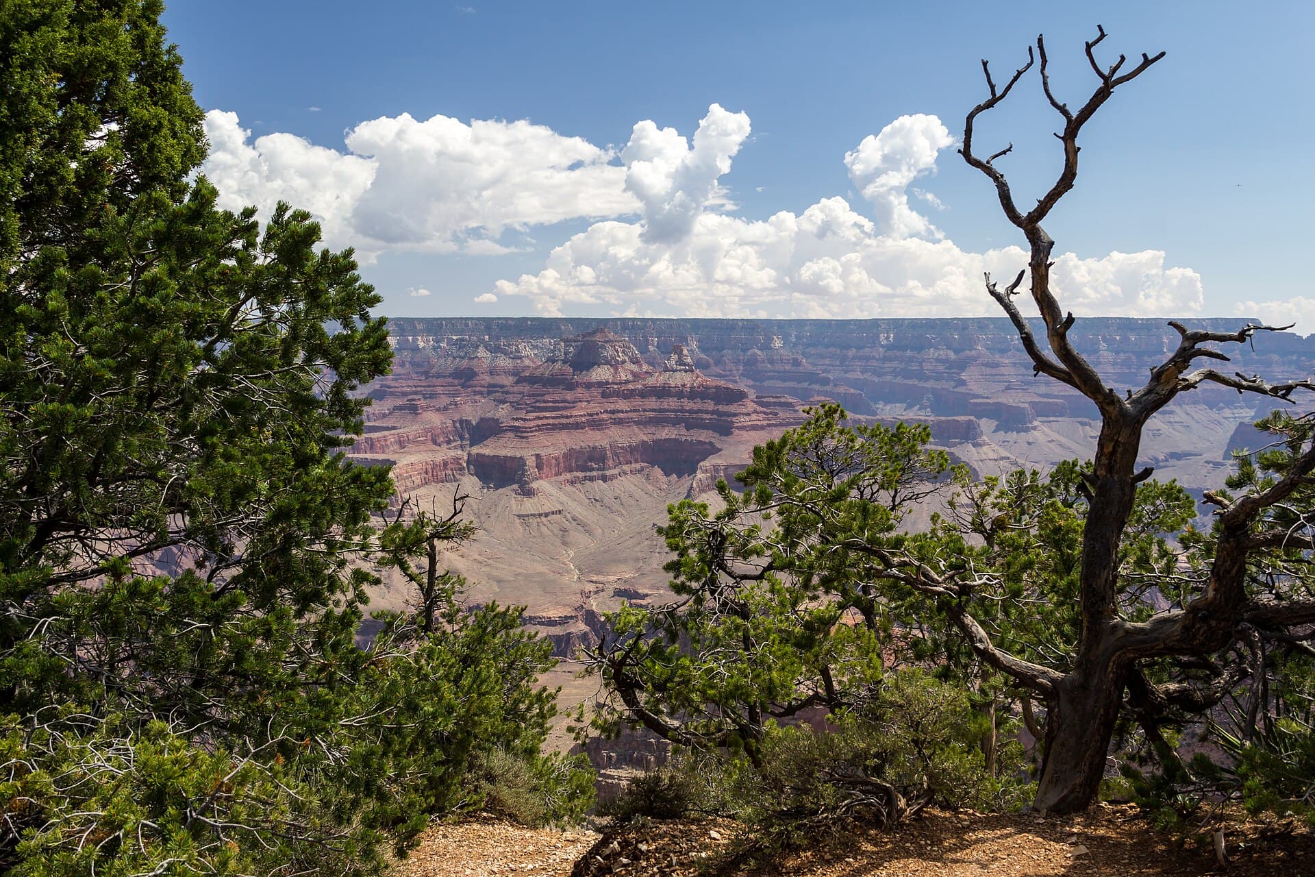 The Grand Canyon South Rim near Tusayan, Arizona