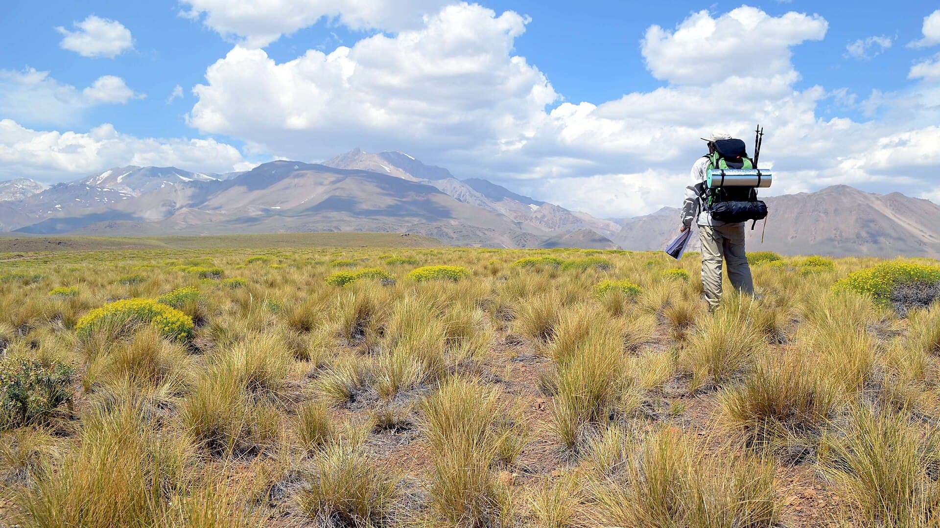 A trekker crossing coirón steppe with the Domuyo massif behind