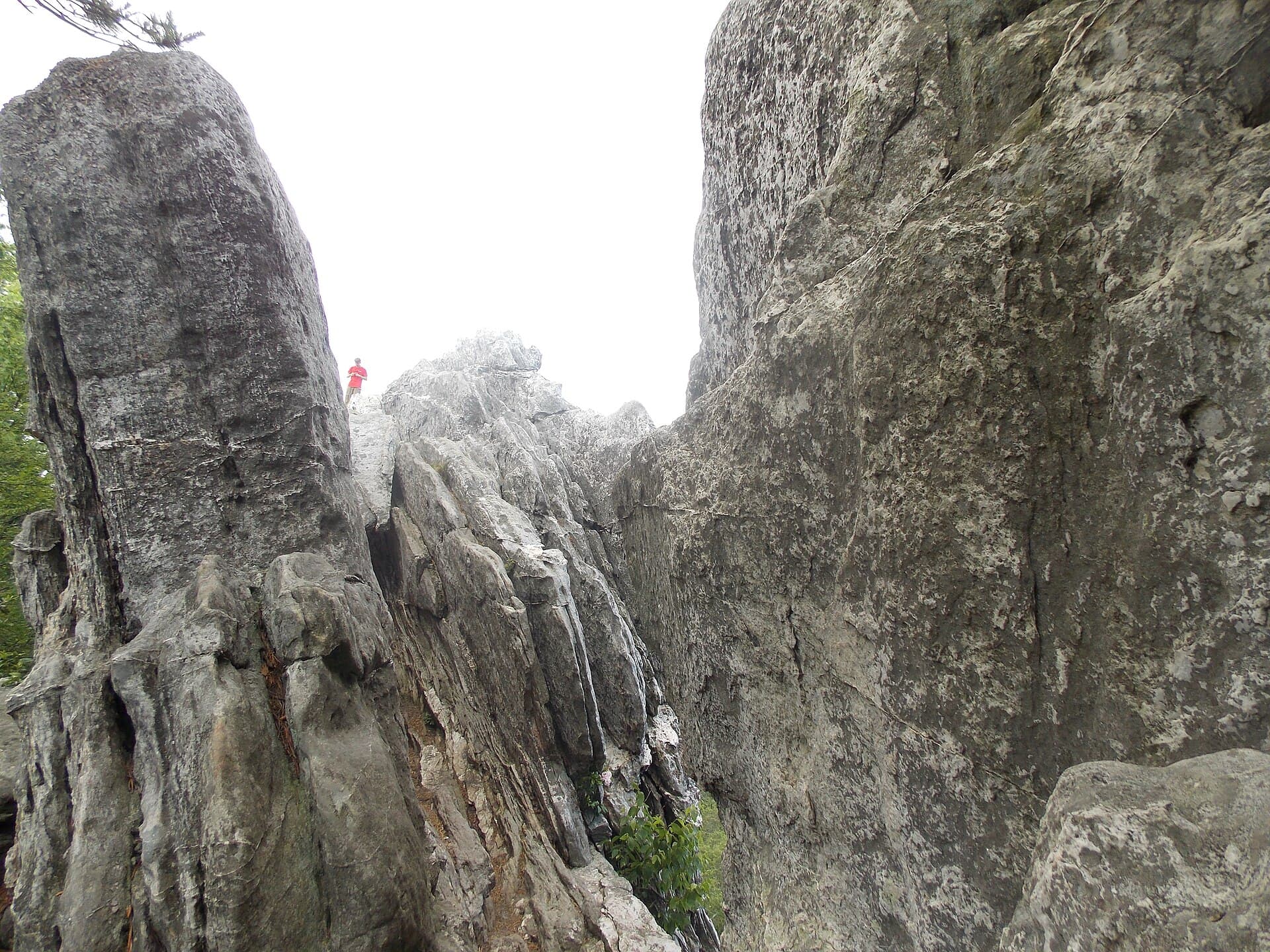 The rock fin of Dragon's Tooth, Virginia