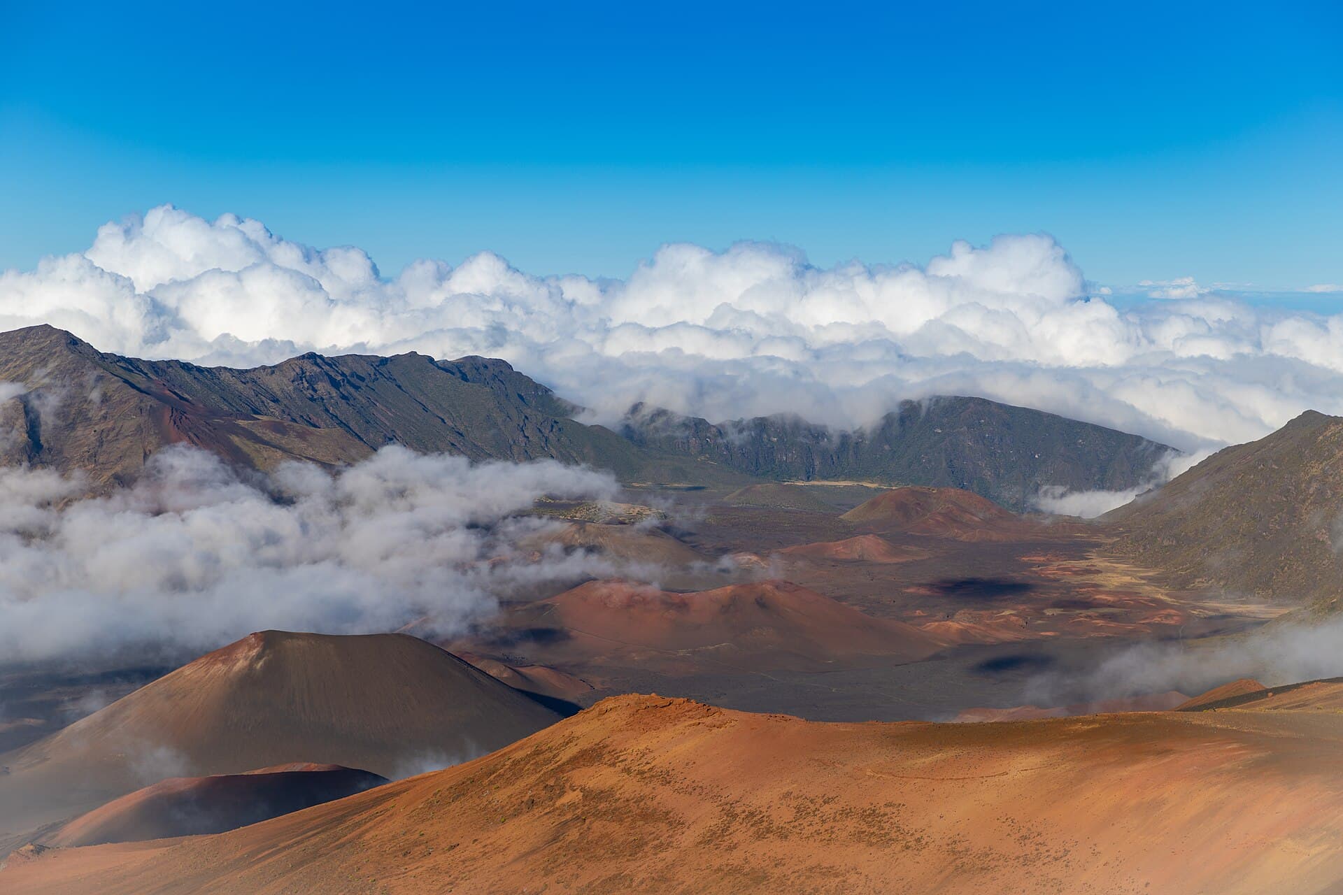 Cinder cones in the Haleakala crater