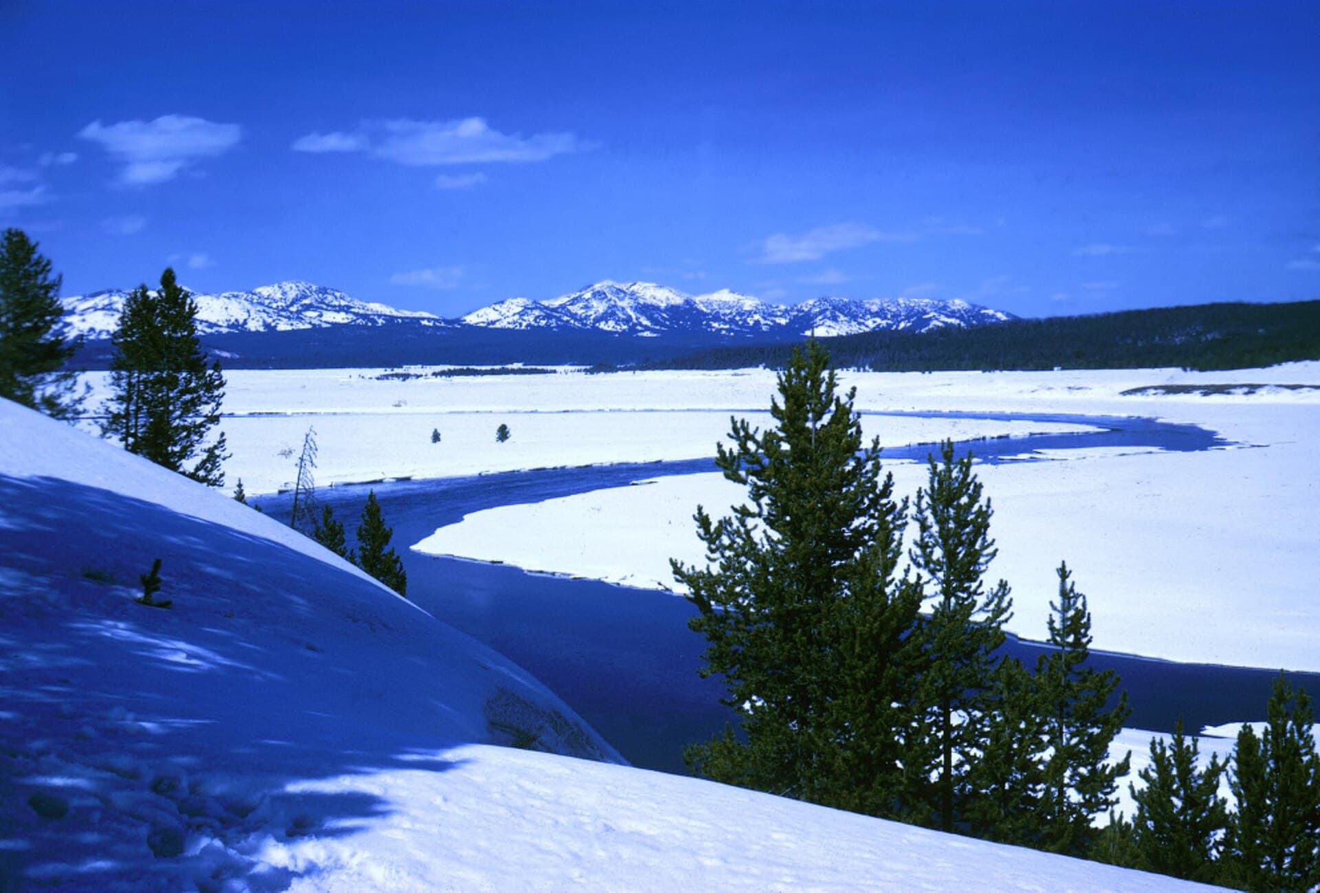 The Yellowstone River and Hayden Valley in winter