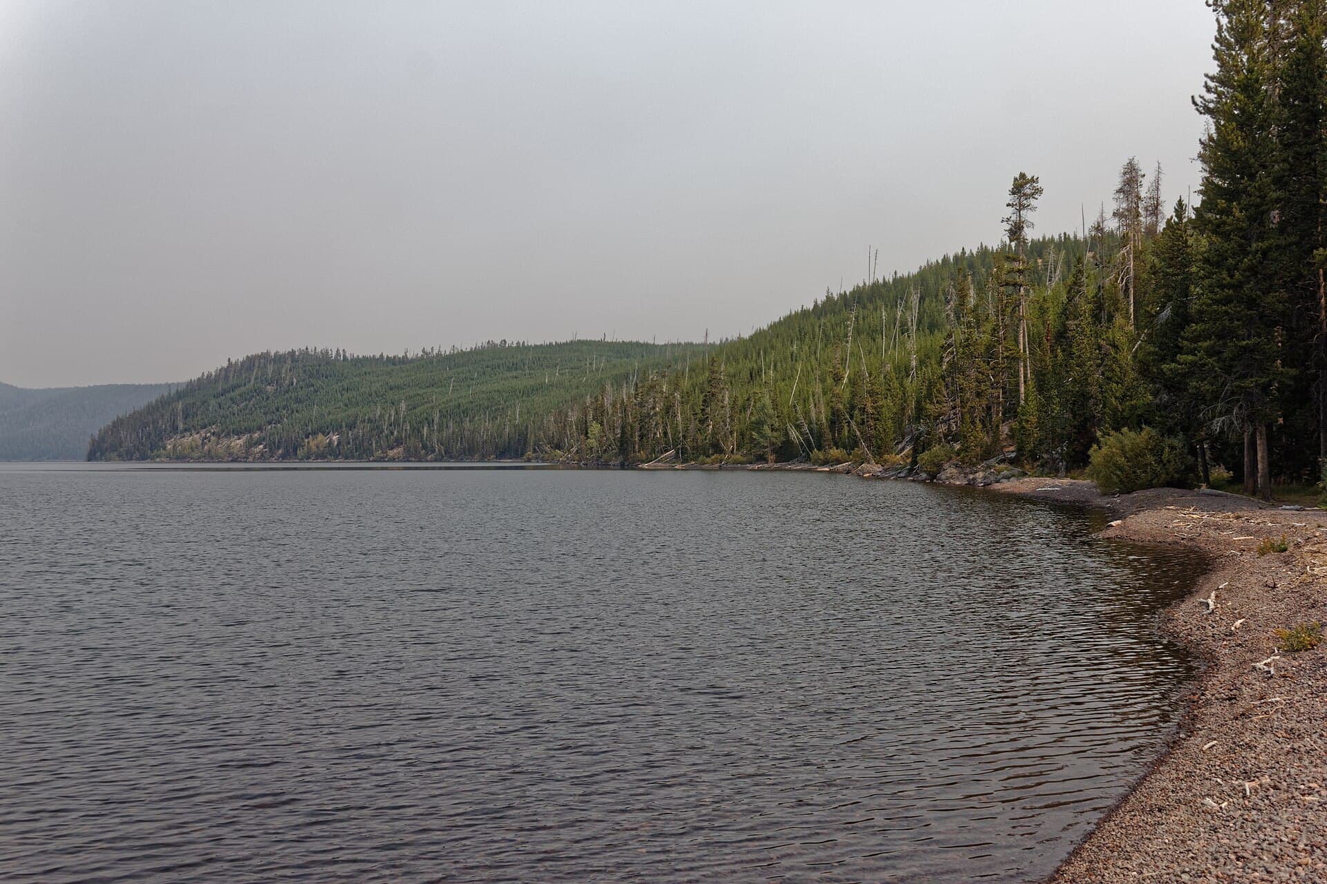 The Shoshone Lake trail, Yellowstone backcountry
