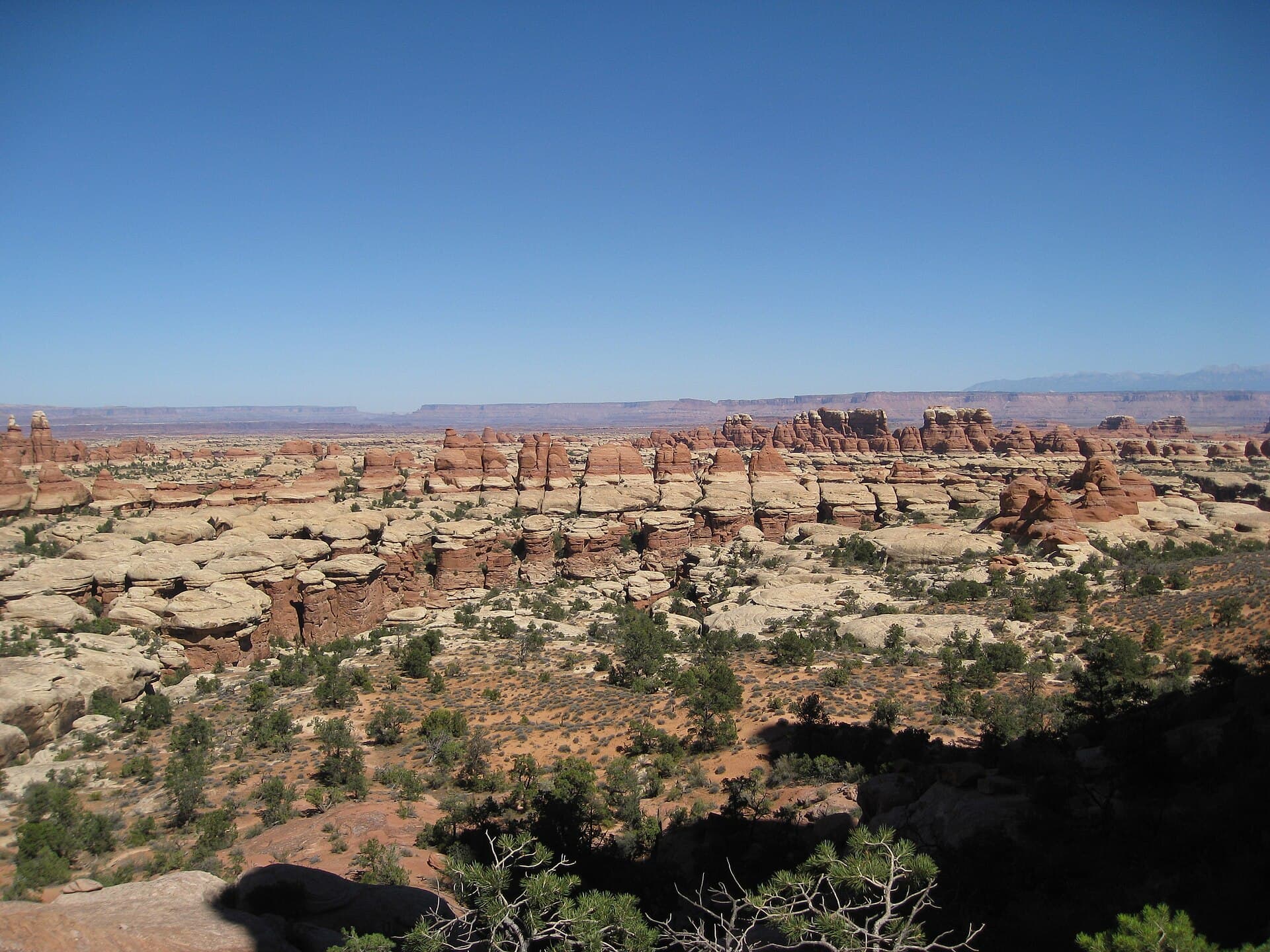The Needles District, Canyonlands National Park