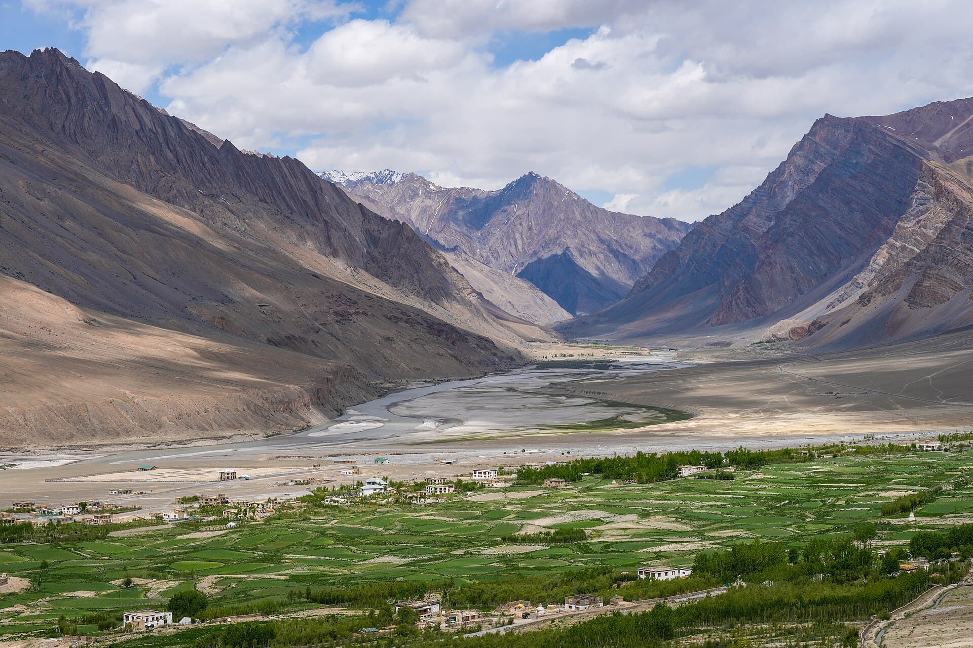 Irrigated fields at Zangla on the Zanskar river