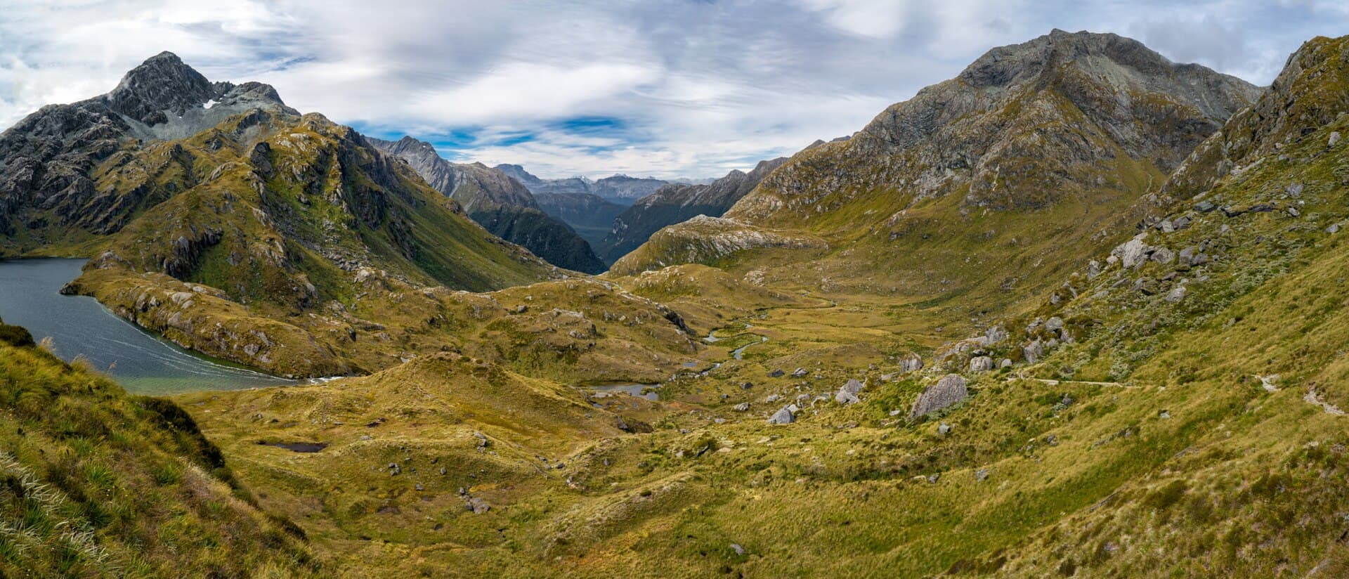 Harris Saddle on the Routeburn Track